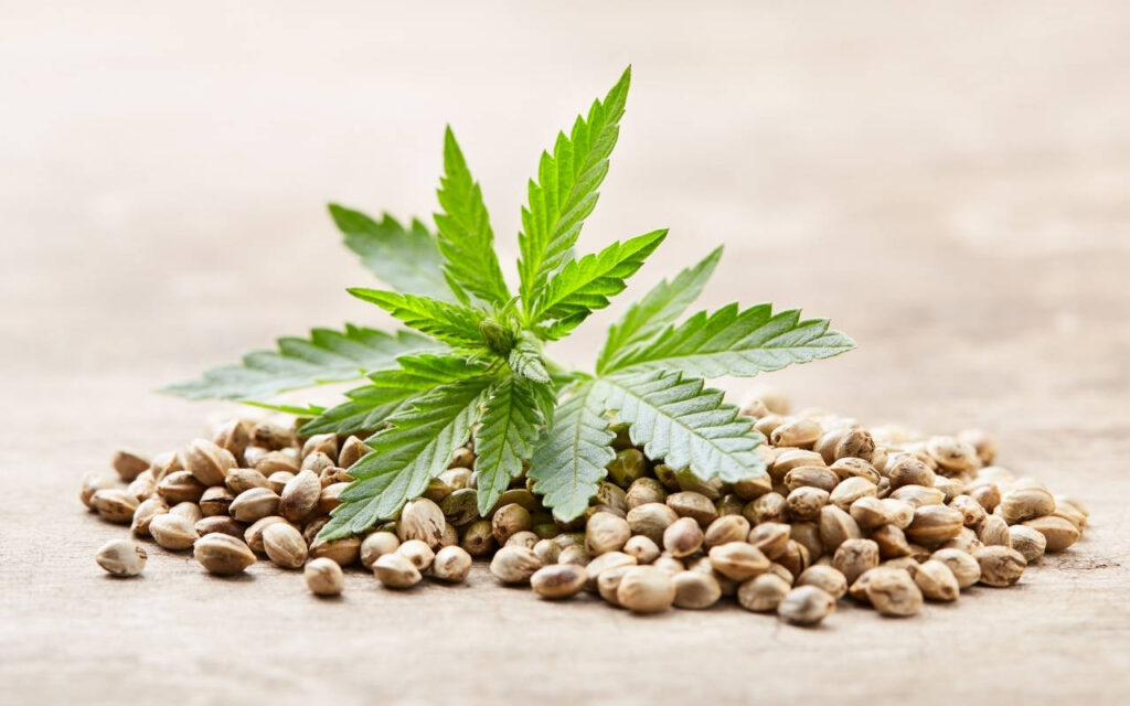Right Strain for Growing