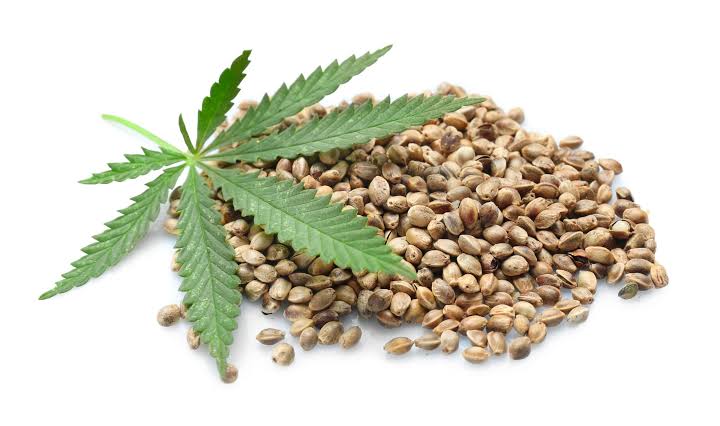 Seed Quality Matters